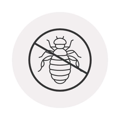 lice